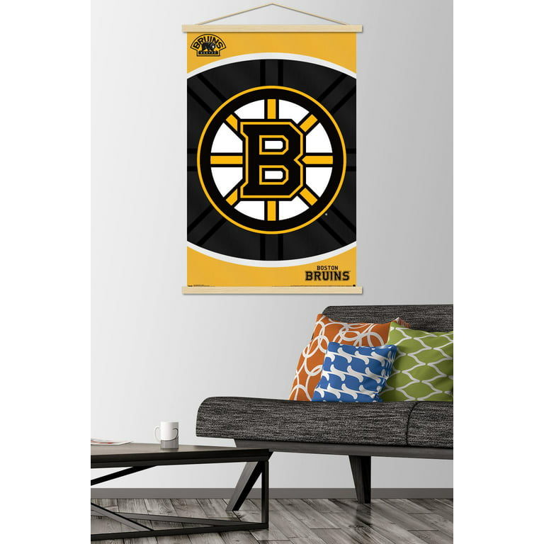 Nhl boston bruins