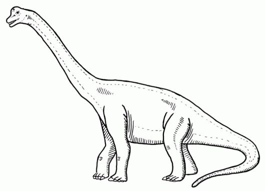 Brachiosaurus with a long giraffe like neck coloring page brachiosaurus dinosaur coloring pages coloring pages