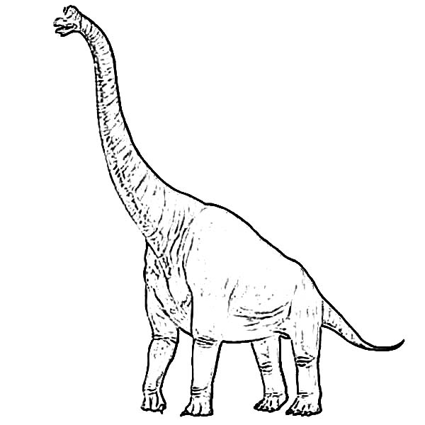 Brachiosaurus coloring page for kids coloring pages dinosaur coloring pages coloring pages for kids