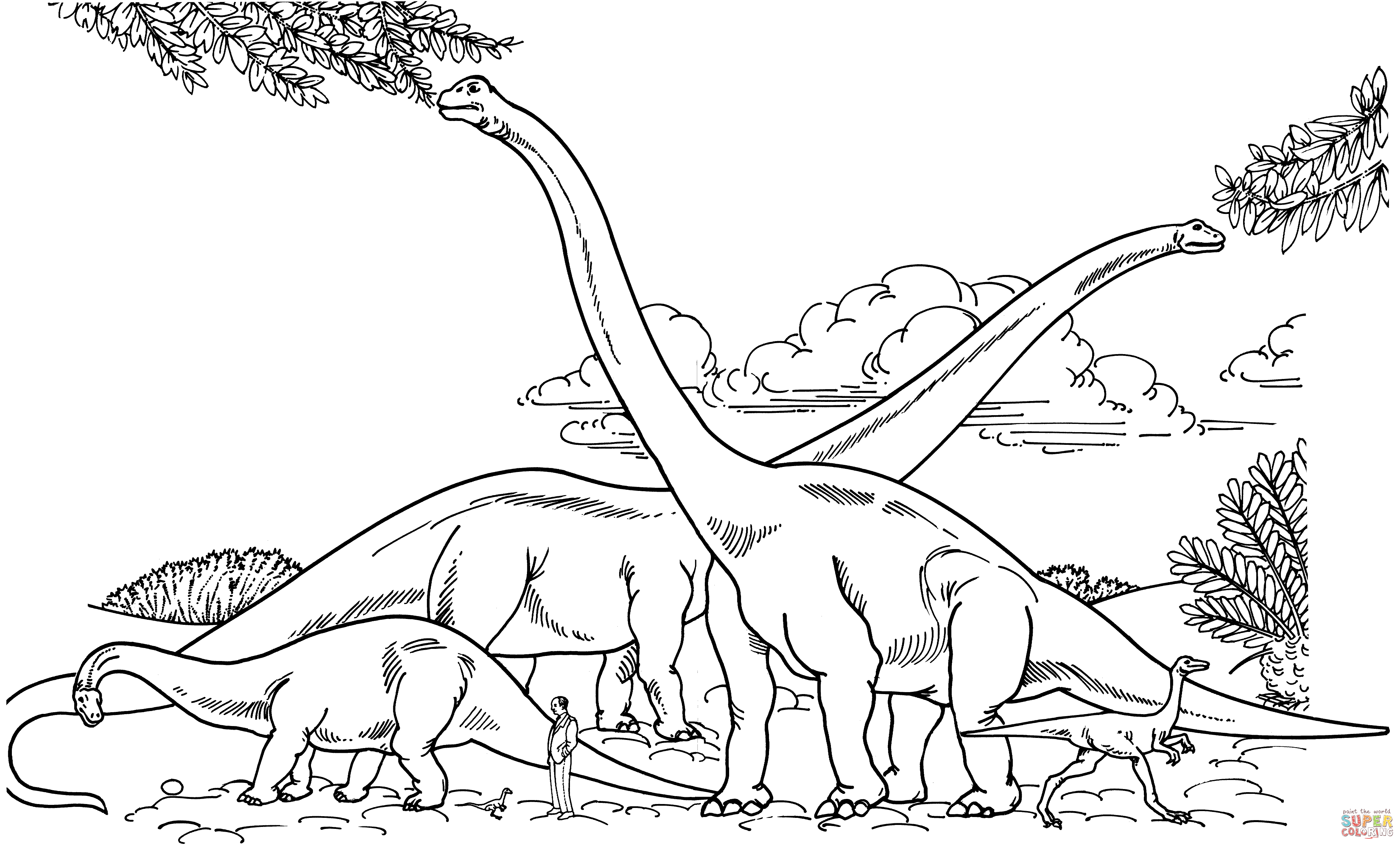 Barosaurus hypselosaurus brachiosaurus and gallimimus parison with human coloring page free printable coloring pages