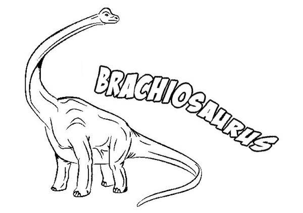 B is for brachiosaurus coloring page coloring pages brachiosaurus coloring sheets