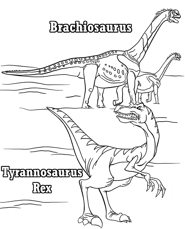 Brachiosaurus and t