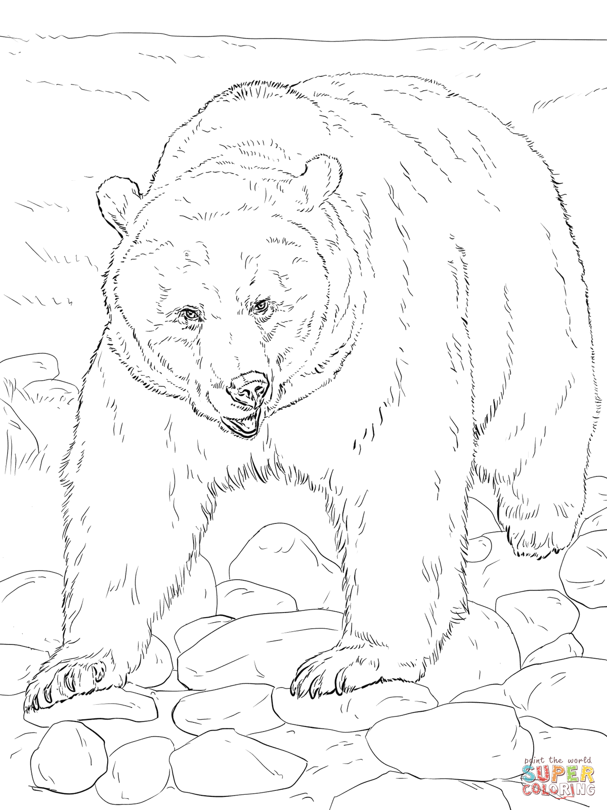 Brown bear coloring page free printable coloring pages
