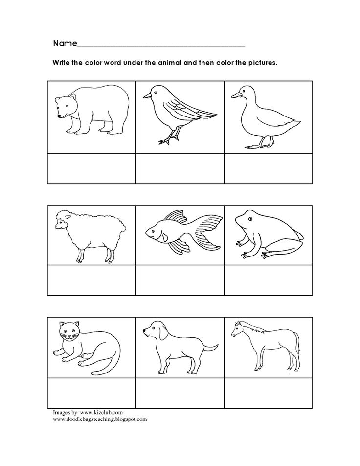 Doodle bugs teaching brown bear brown bear bear coloring pages brown bear brown bear brown bear activities
