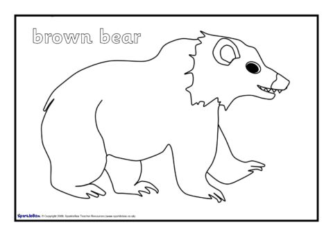 Brown bear brown bear louring sheets sb