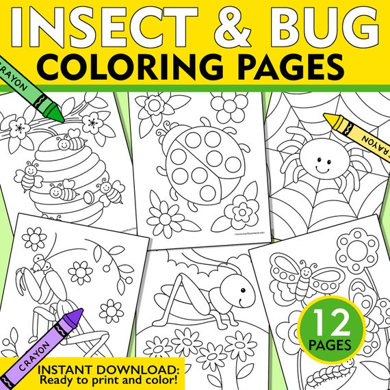 Insect bugs coloring pages insect and bugs coloring sheets kids insect and bugs coloring pages insect coloring book bug coloring book