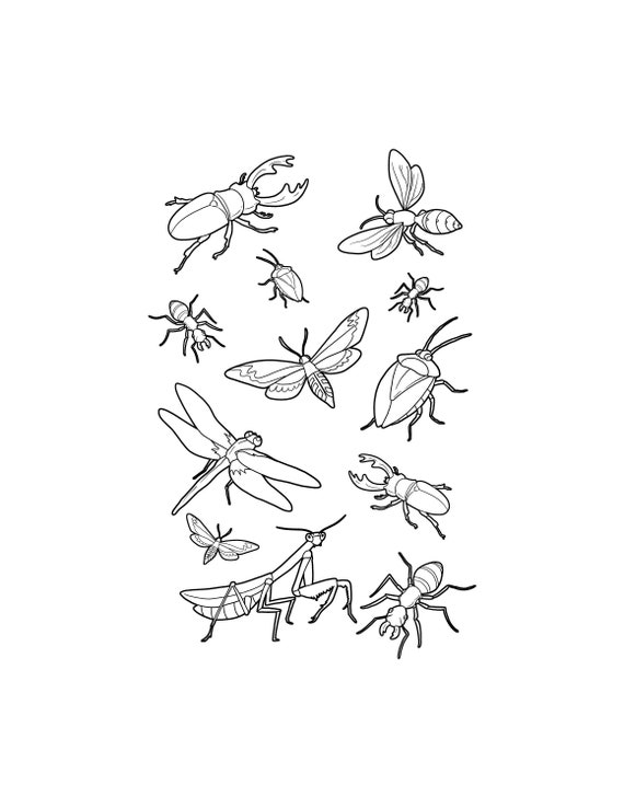 Bug coloring page bugs and insects printable digital download cute bugs art activity