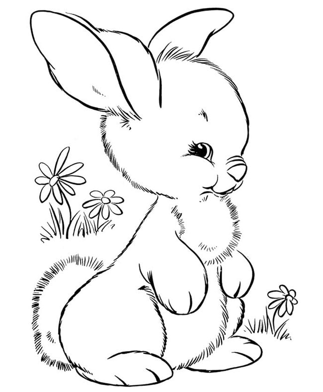 Rabbit shape s and crafts colouring pages