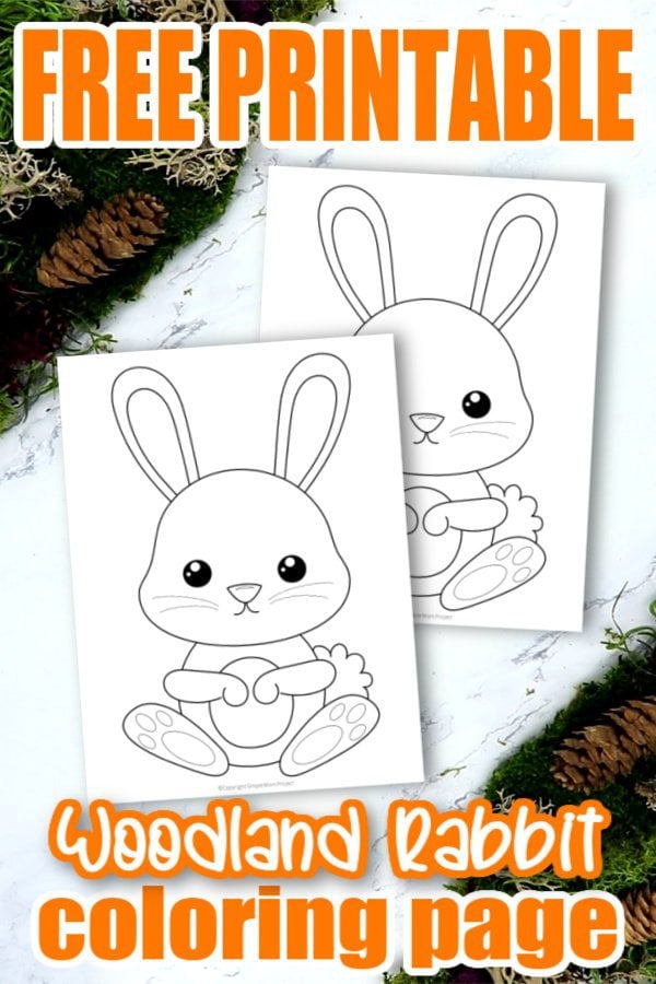 Free printable forest rabbit coloring page â simple mom project