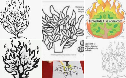 Burning bush archives