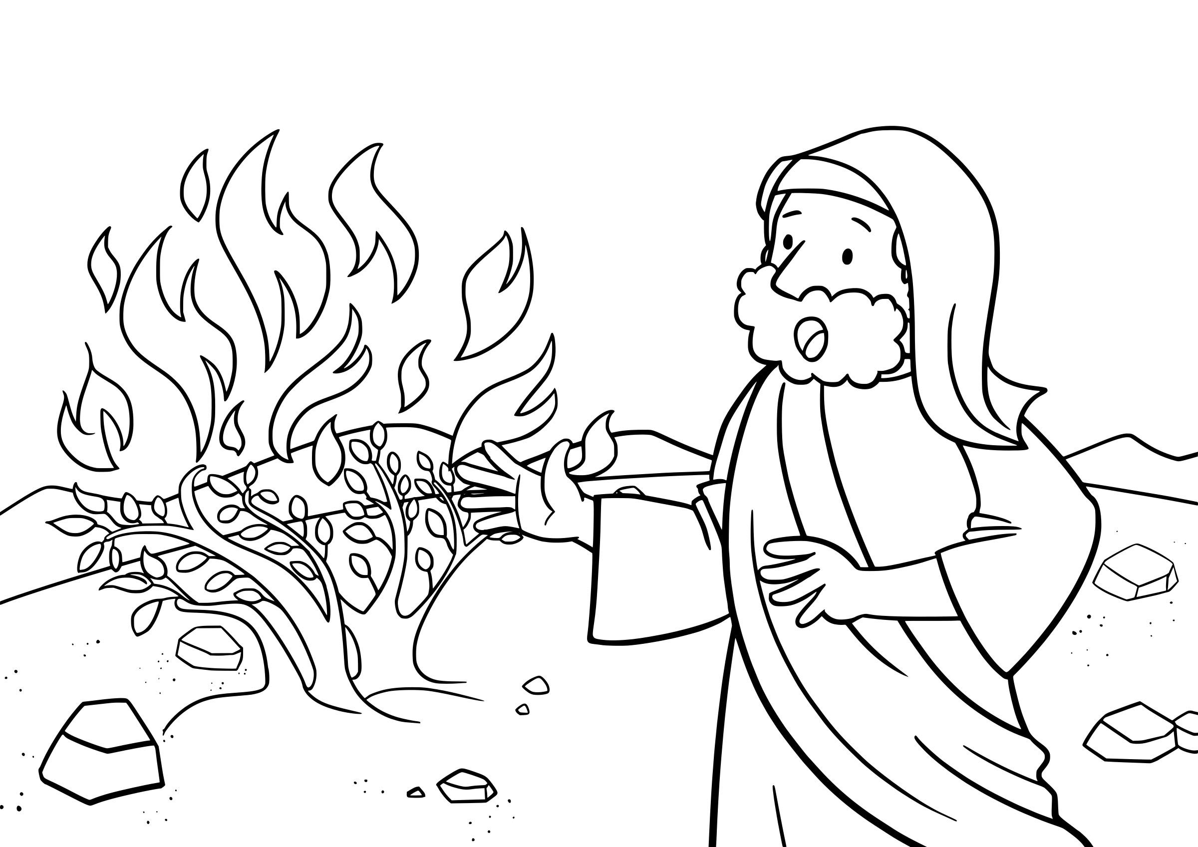Burning bush coloring page