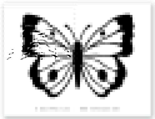 Free printable butterfly coloring pages
