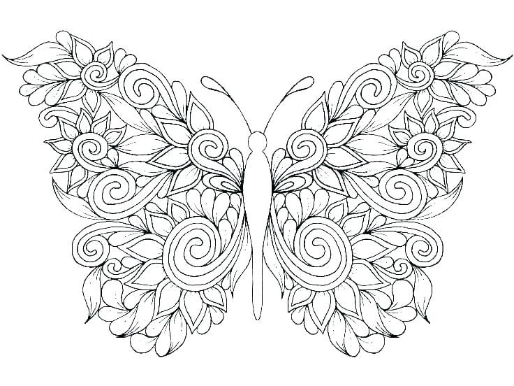 Pin by pam schwigen on cricut butterfly coloring page coloring pages printable coloring pages