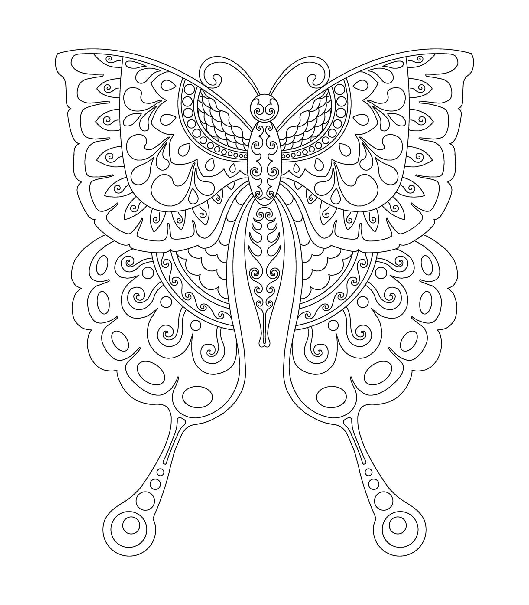 Premium vector butterfly mandala design for coloring page print