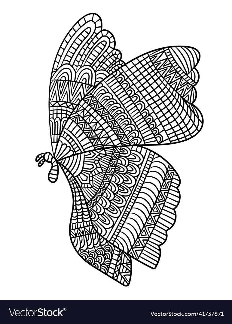 Butterfly mandala coloring pages for adults vector image
