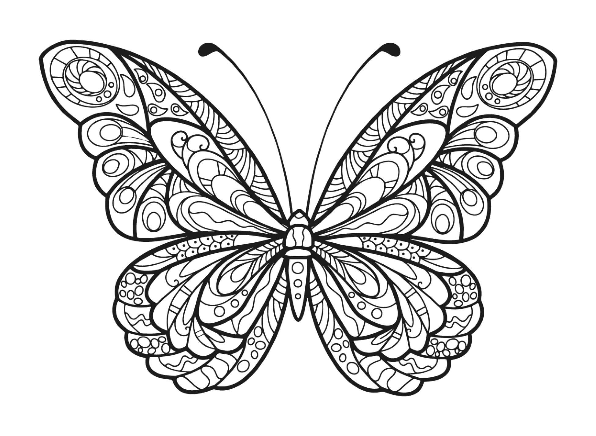 Basic butterfly mandala coloring page
