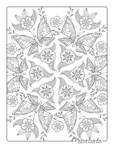 Free butterfly coloring pages for kids adults