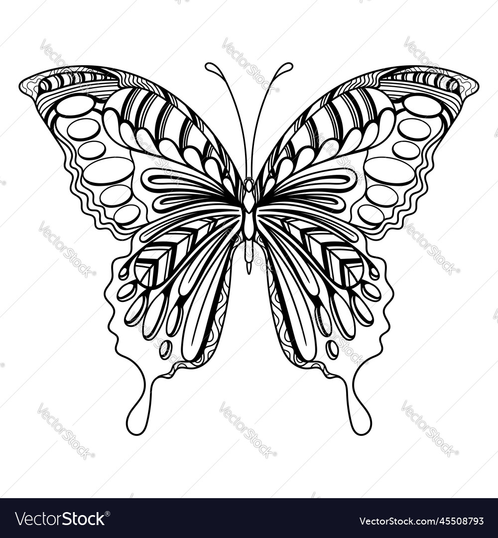 Butterfly art mandala entangle coloring page vector image