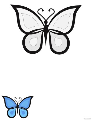 Butterfly s