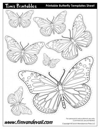 Butterfly templates butterfly shapes â tims printables butterfly template paper butterflies butterfly printable