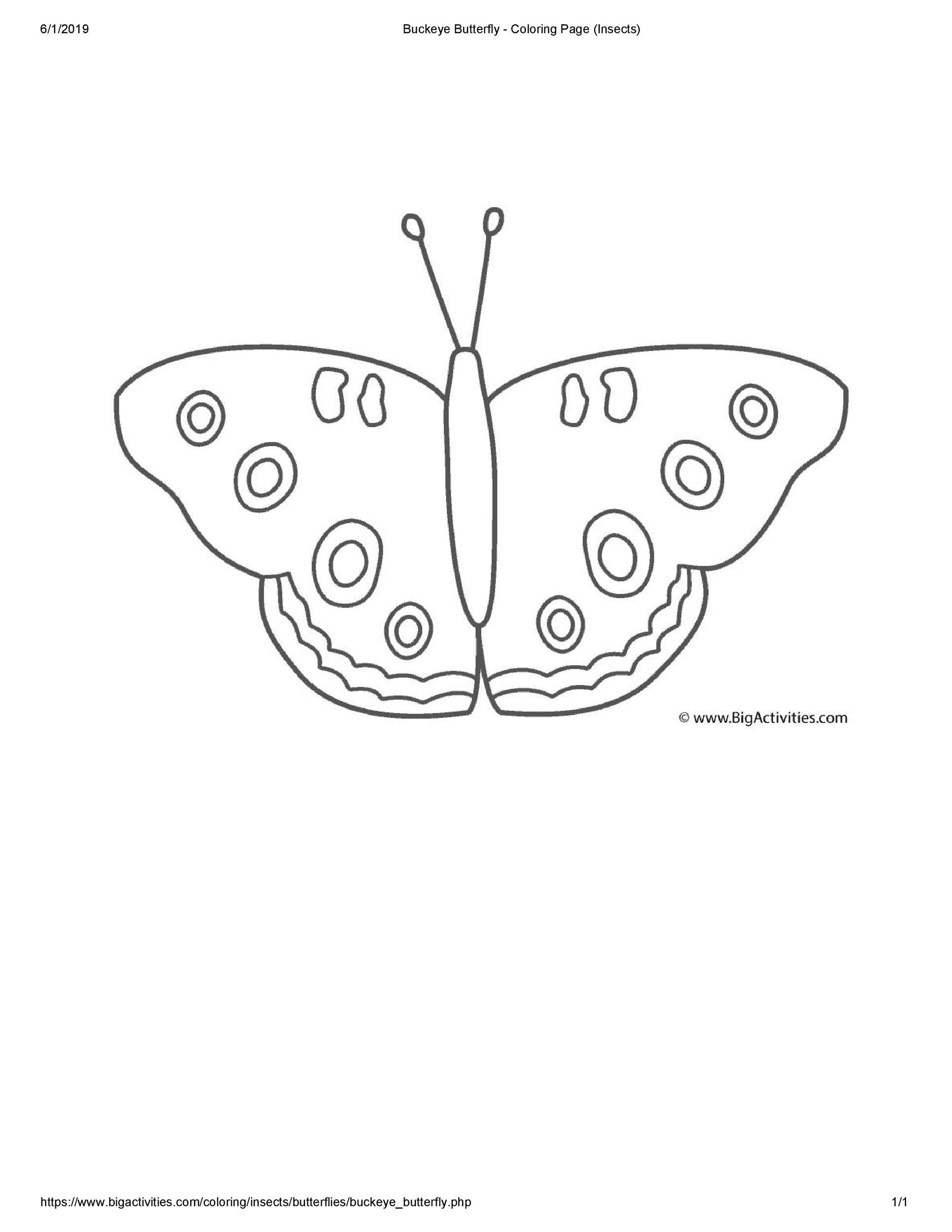 Printable cut out butterfly templates ð á