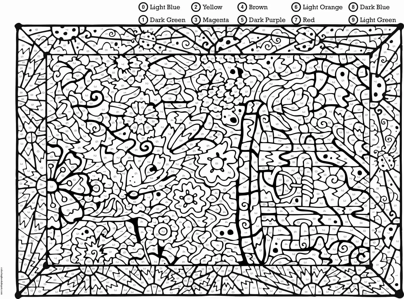 Adult and advanced color by number