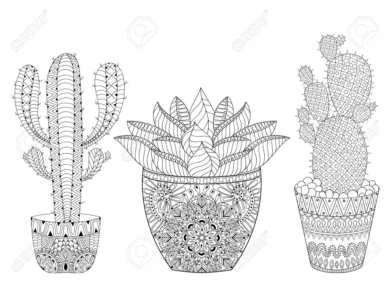 Entangle cactus set illustration outline desert plants pot succulents in doodle style for adult antistress coloring pages books art therapy sketch for tattoo t