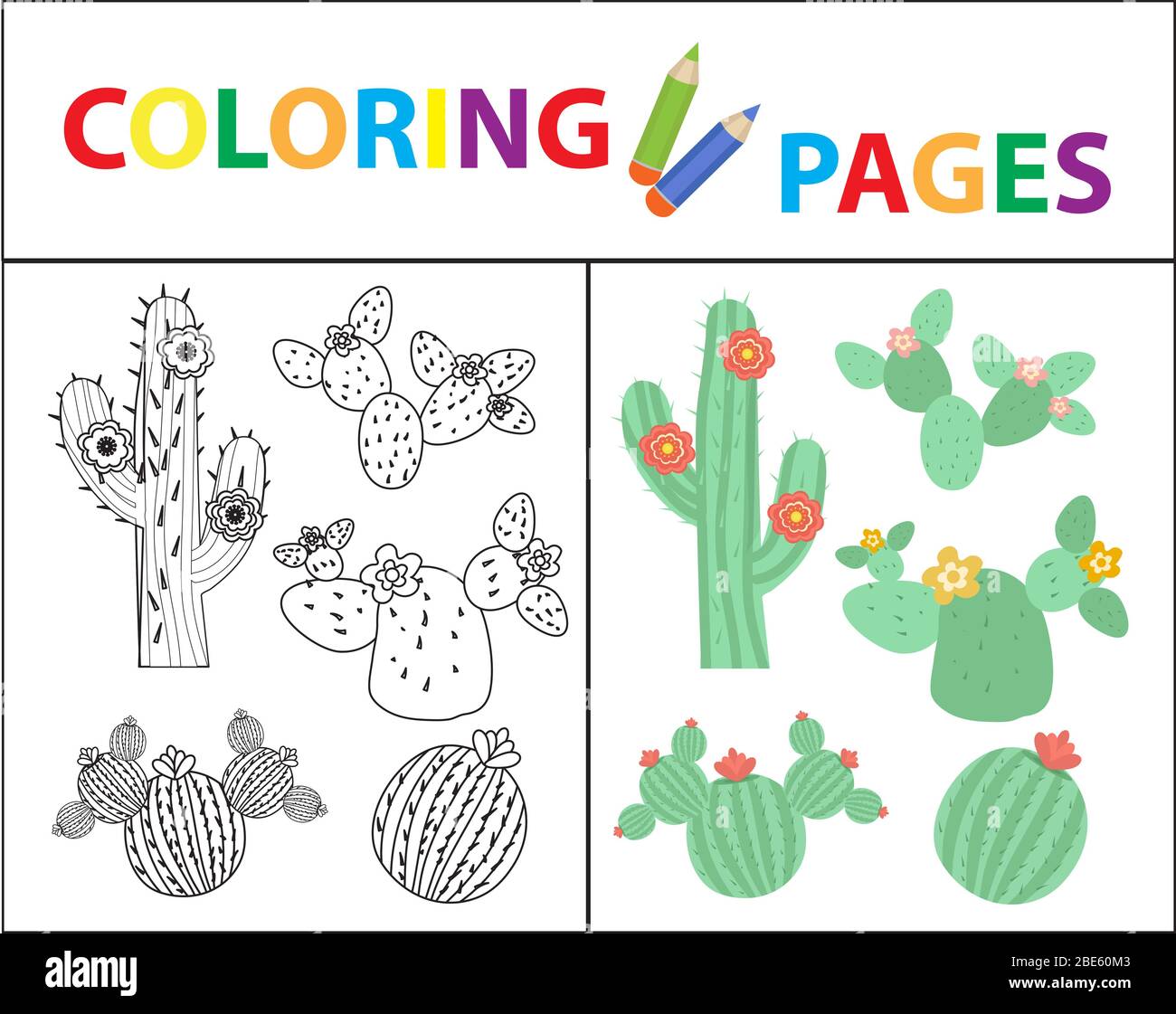 Coloring book page for kids set of cactus sketch outline and color version childrens education illustration stock photo