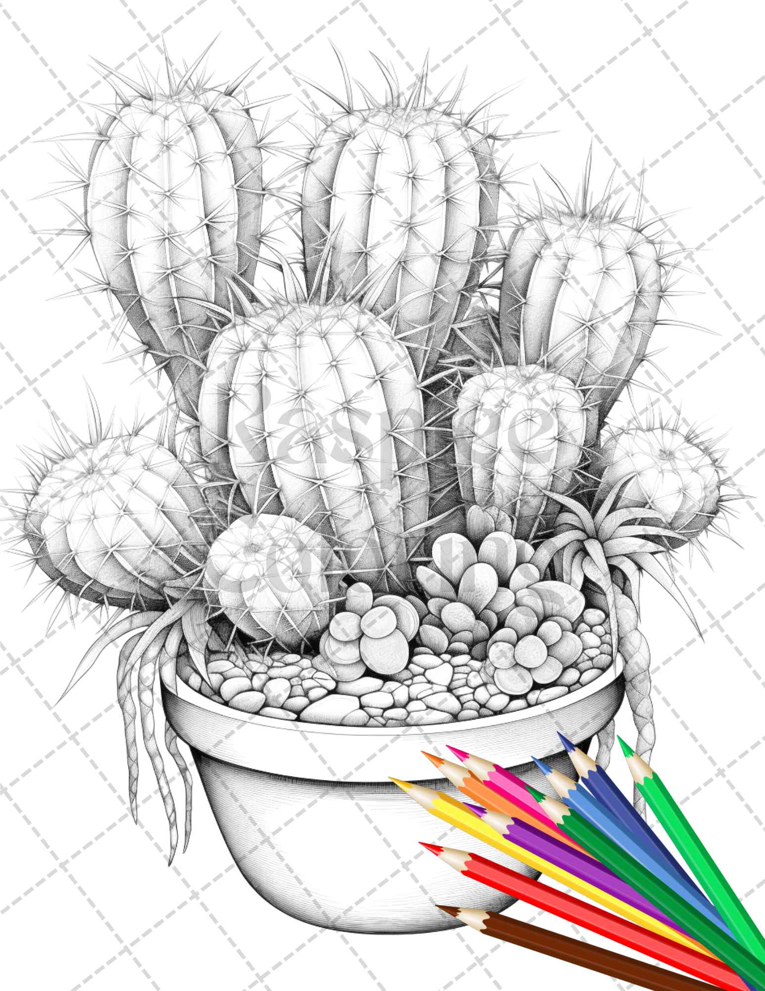 Charming cactus pots grayscale coloring pages printable for adults â coloring