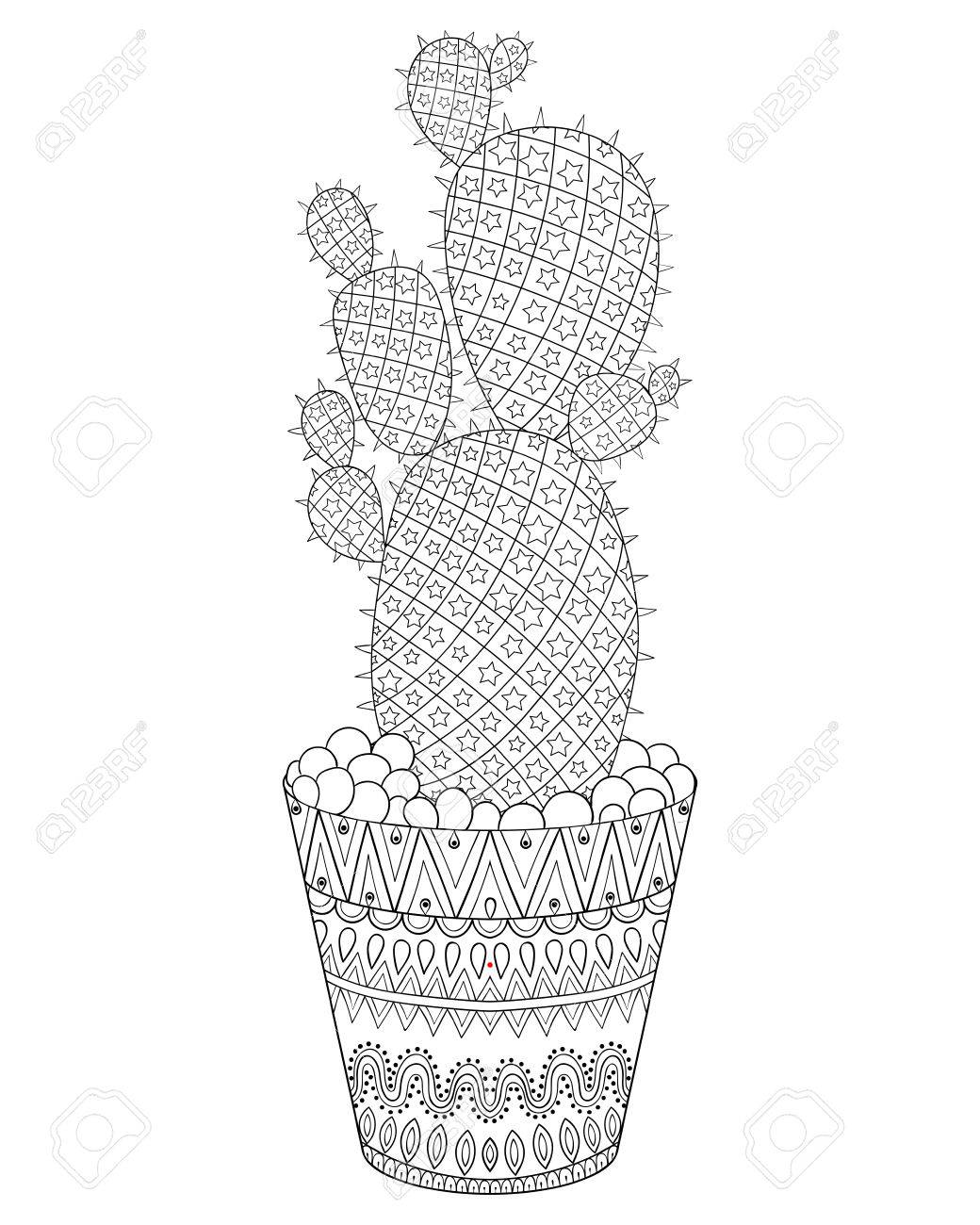 Cactus illustration outline desert plant texture in monochrome doodle style for adult antistress coloring pages books art therapy sketch for tattoo t