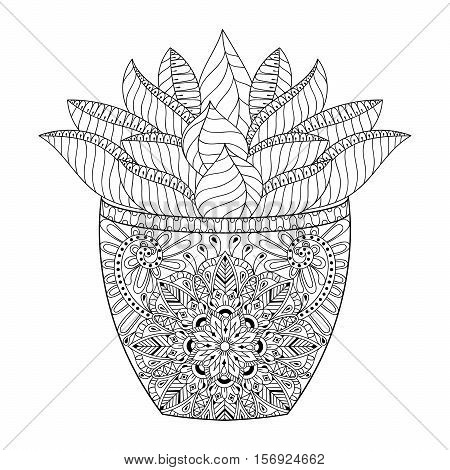 Zentangle succulent vector photo free trial bigstock