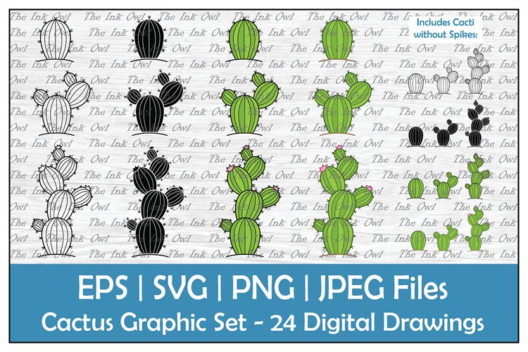 Cute desert cactus outline silhouette color clipart
