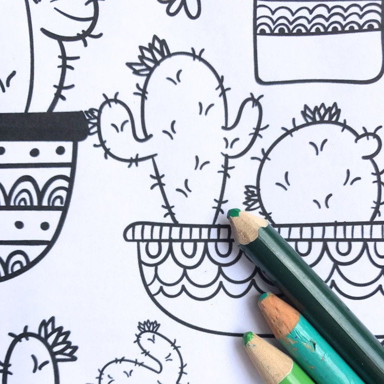 Cactus succulent adult coloring sheet set pop shop america