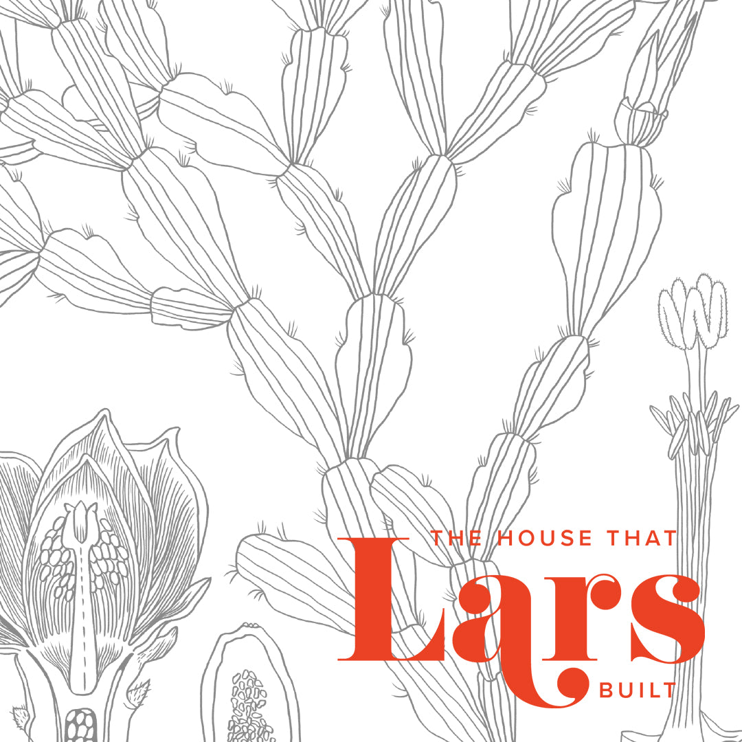 Climbing cactus chart coloring page pdf printable â the house that lars built