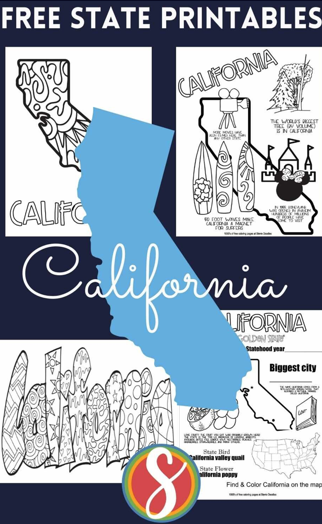 United states coloring pages â stevie doodles