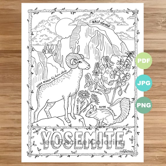 National park coloring page yosemite california national park landscape animal plant wildflower coloring page printable