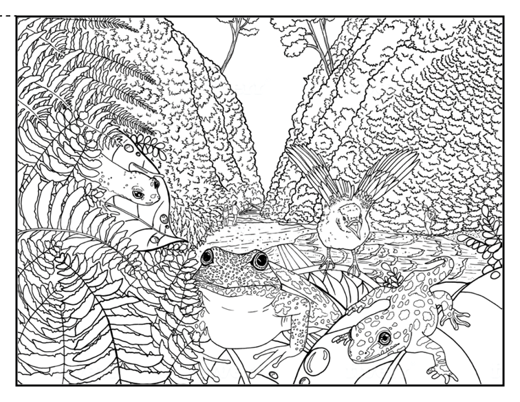 California coloring book â