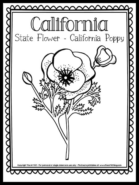 California state flower coloring page california poppy free printable â the art kit