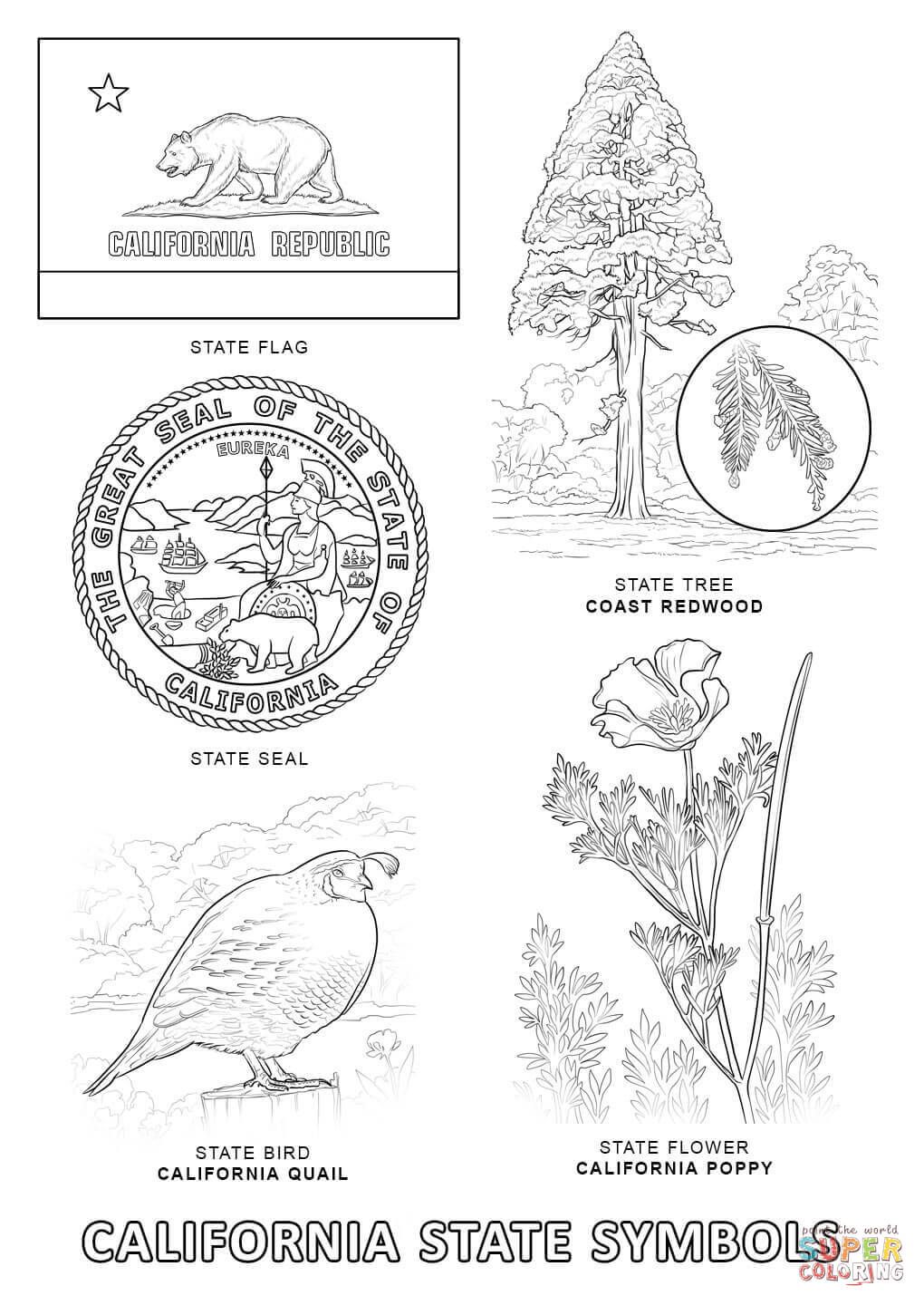 California state symbols coloring page from california category select from printablâ california history projects state symbols social studies california
