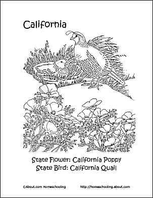 California state printables including crosswords and word searches