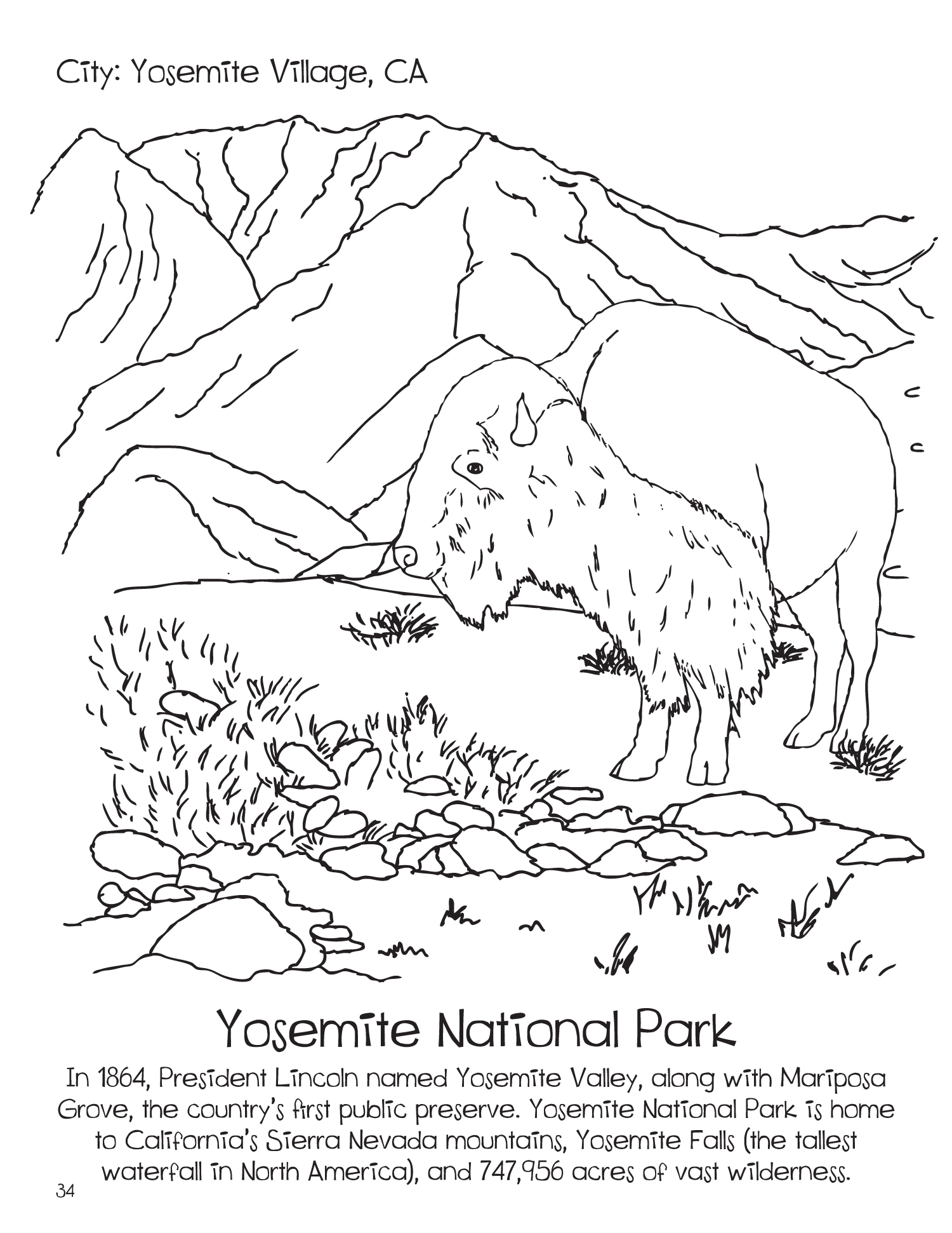 California redwood coloring sheet doodles ave