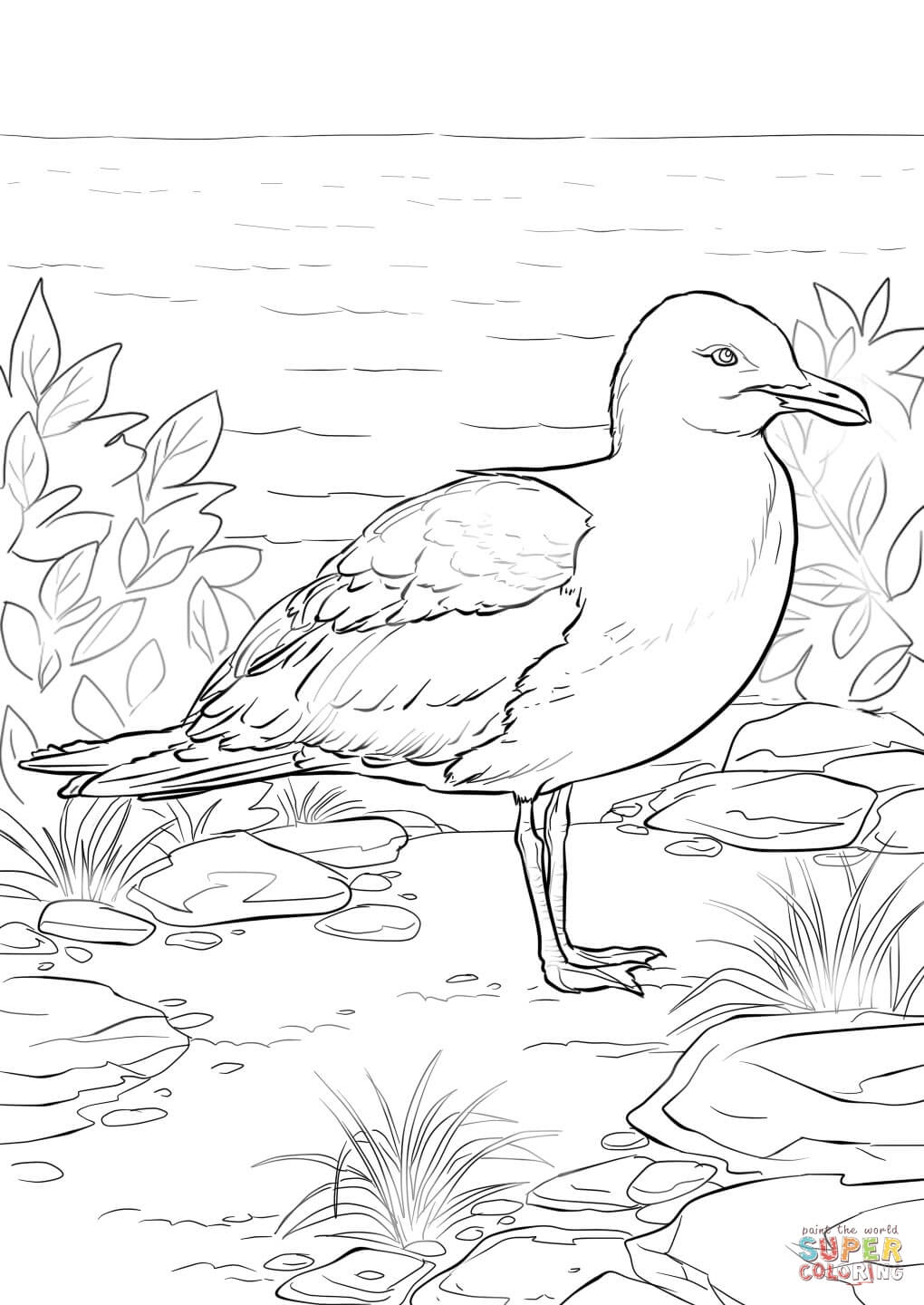 California gull coloring page free printable coloring pages