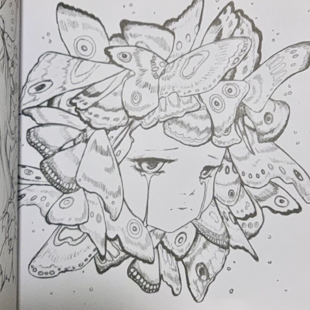 New camilla derrico pop manga coloring book anime adult illustrations