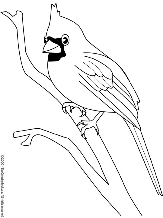Cardinal coloring page audio stories for kids free coloring pages colouring printables