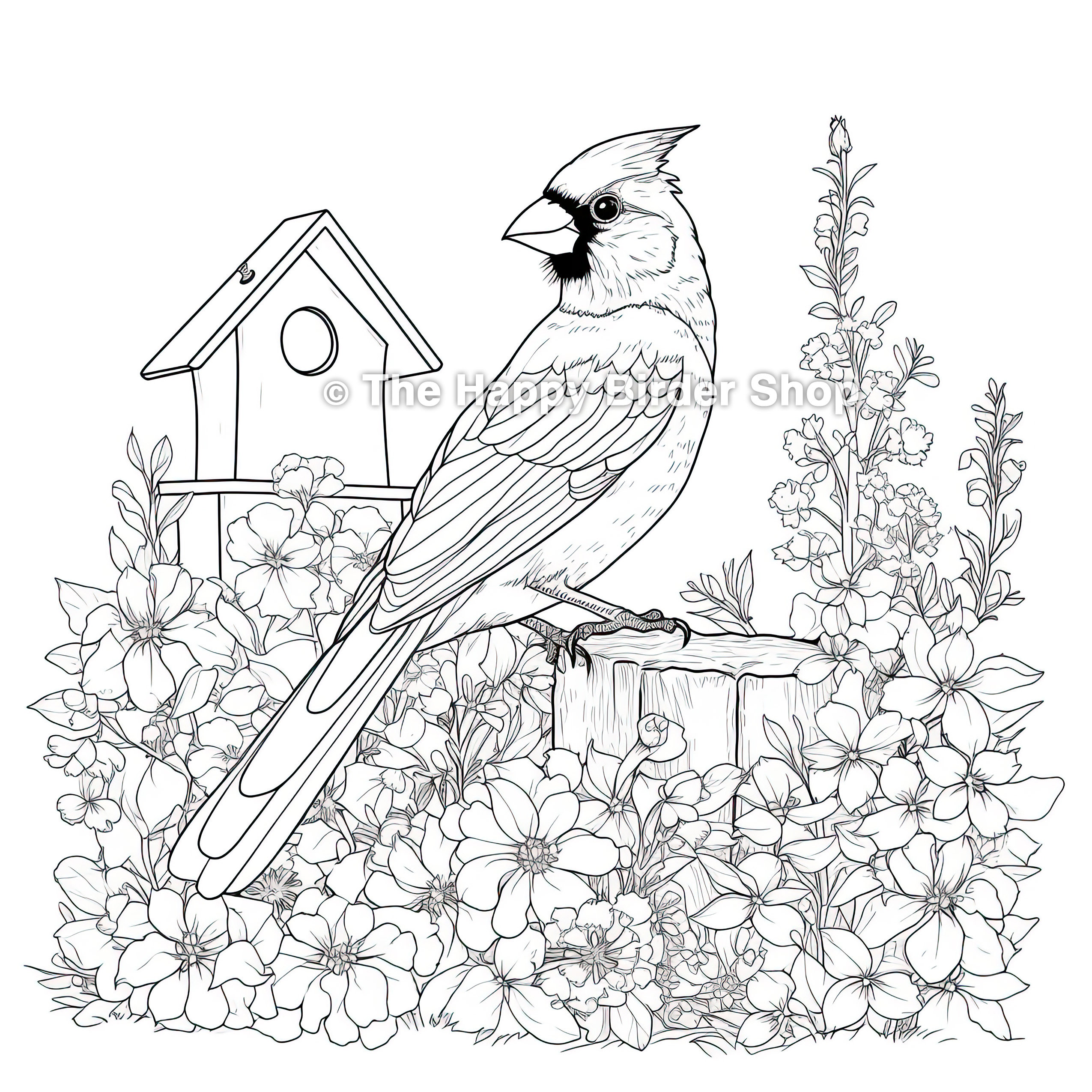Cardinal coloring page printable jpg nature lovers instant download stress relief dpi
