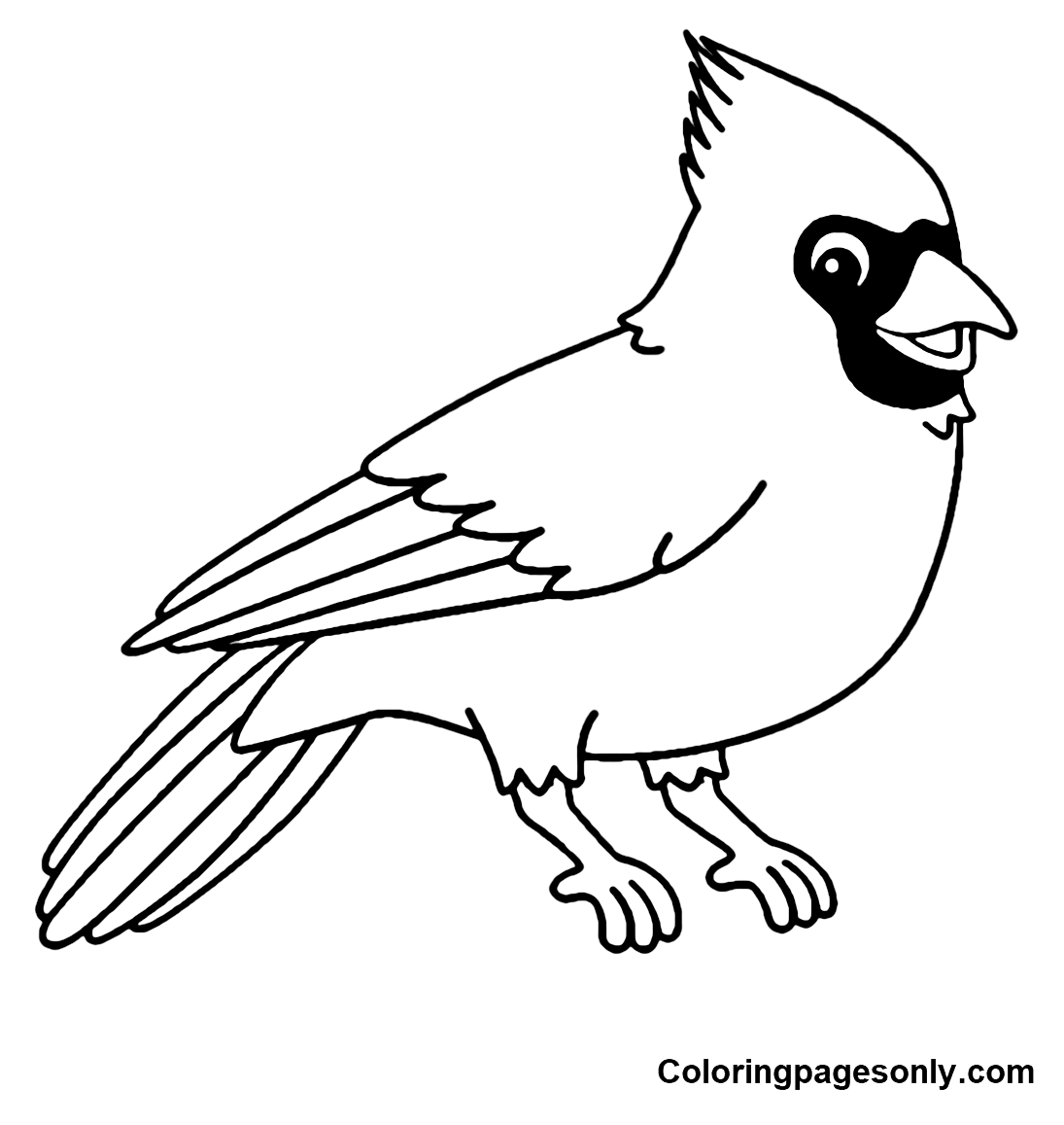Cardinal coloring pages printable for free download