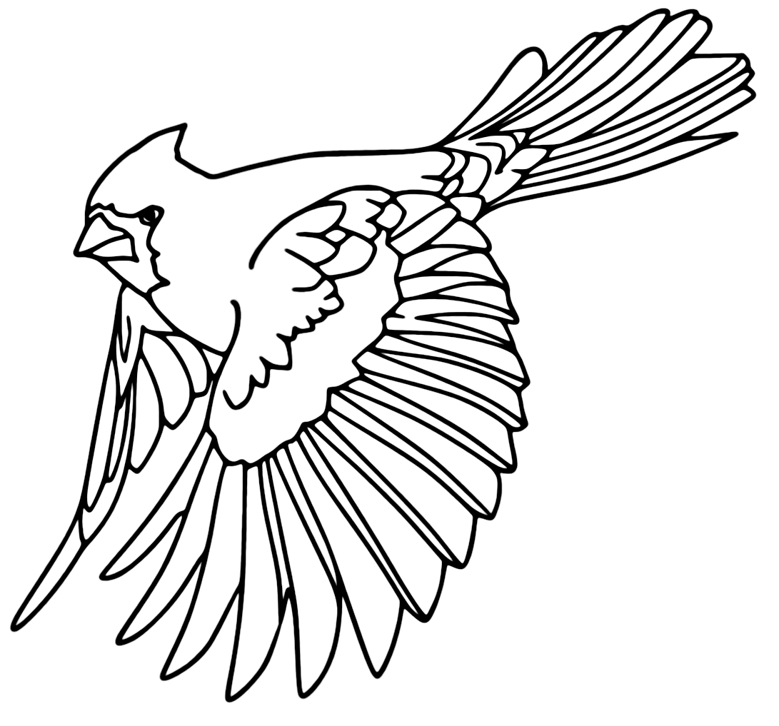 Cardinal coloring pages printable for free download