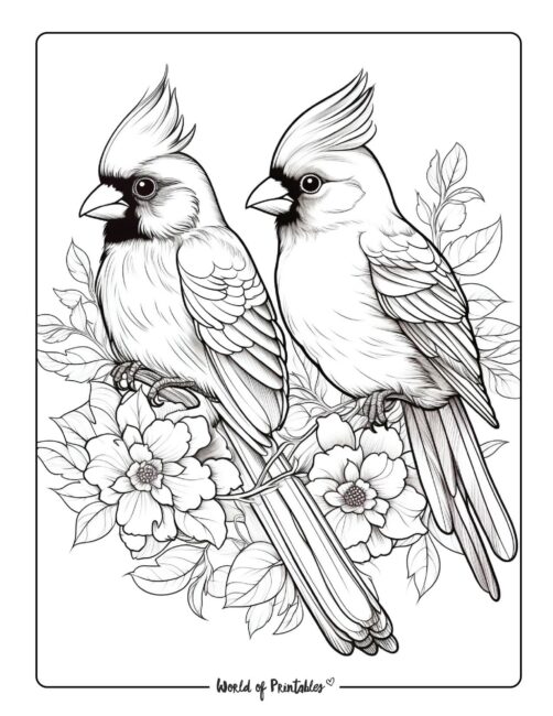 Bird coloring pages