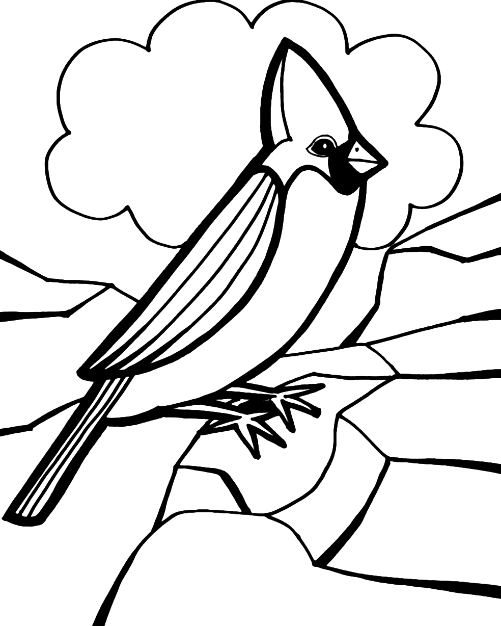 Bird pages â printable pages
