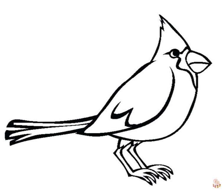 Charming cardinal coloring pages experience natures beauty